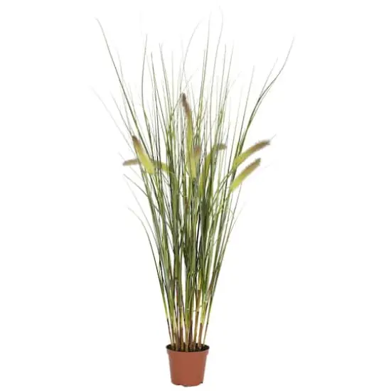2.5ft. Potted Grass Plant {1}