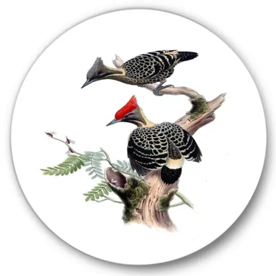 Designart - Vintage Birds In The Wild VI - Traditional Metal Circle Wall Art {1}