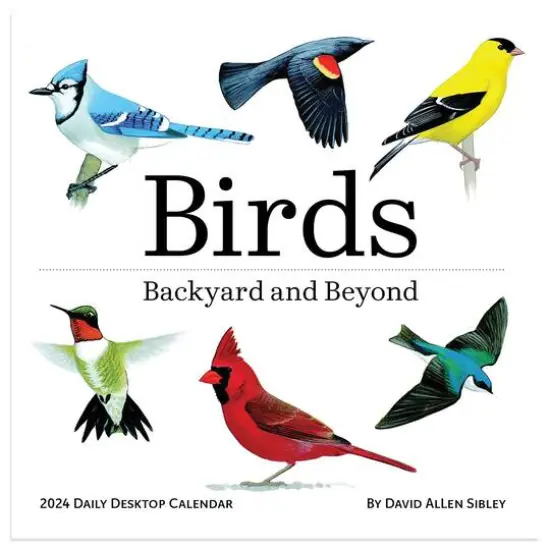 TF Publishing 2024 Birds: Backyard & Beyond Daily Desktop Calendar {5}