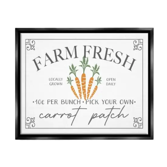 Stupell Industries Farm Fresh Carrot Patch Seasonal Springtime Vegetables Floater Framed Art Black {1}