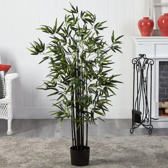 4ft. Potted Black Bamboo Tree {5}