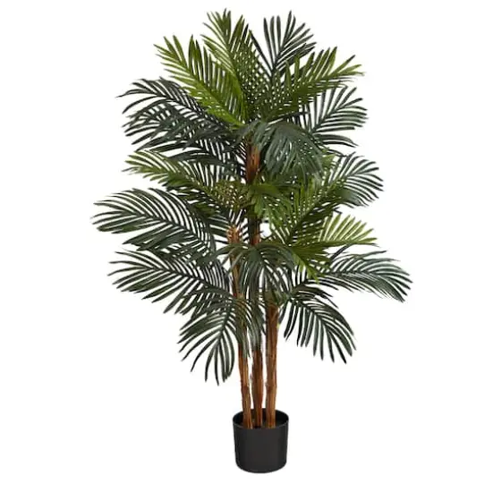 4ft. Potted Date Palm Tree {1}