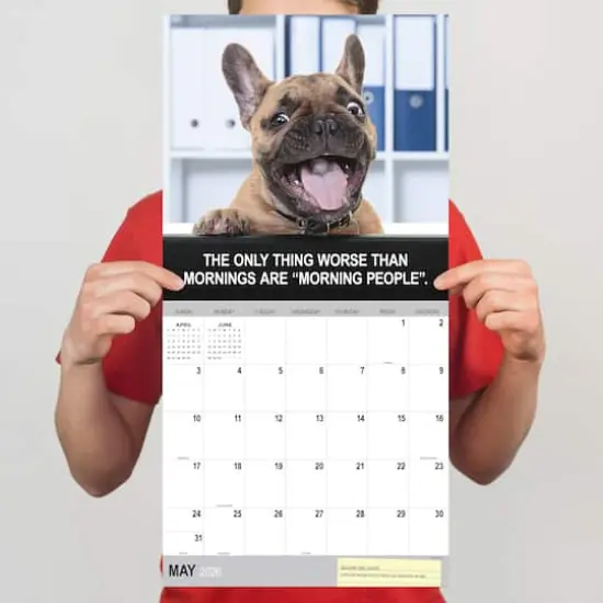 2026 Desk Dogs Wall Calendar {5}