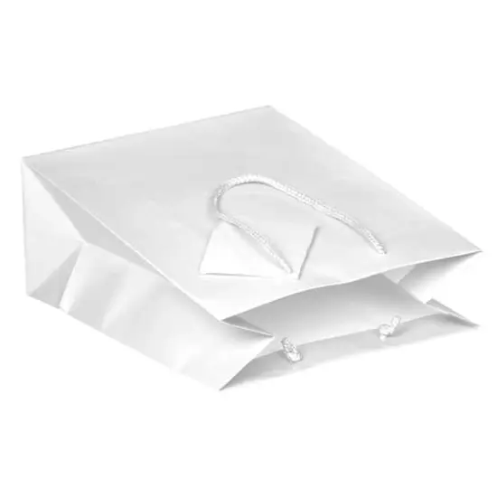 JAM Paper Medium Glossy Gift Bags, 3ct. White {6}