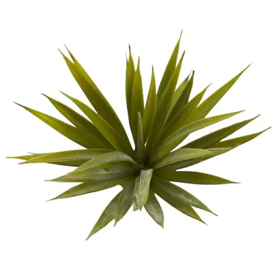 Spiky Agave Succulent Pick, 12ct.  {4}