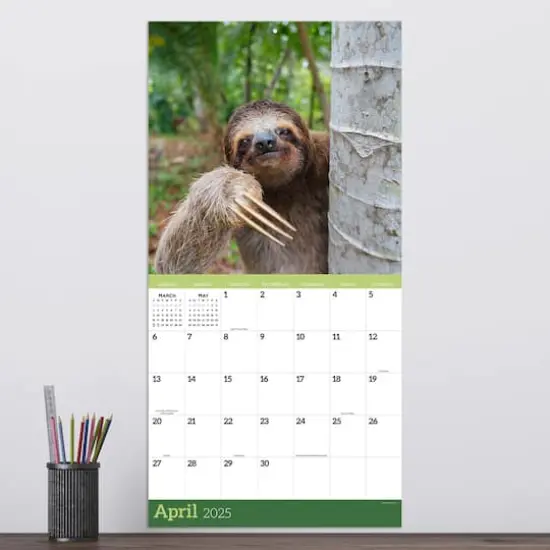 TF Publishing 2025 Sloths Wall Calendar {4}