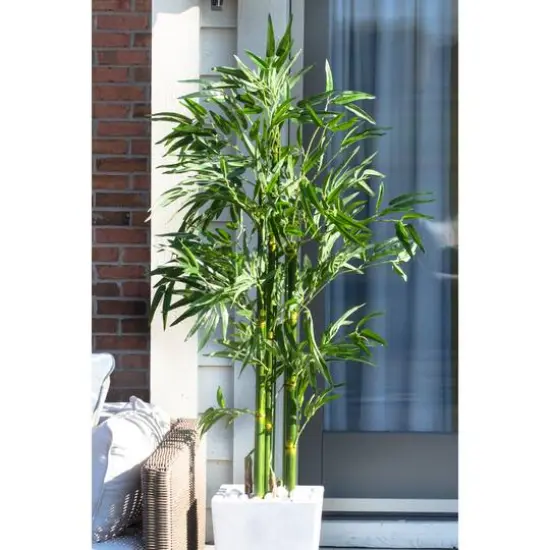 5ft. UV Resistant Bamboo Tree in White Planter {6}