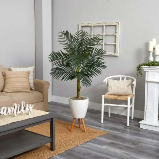 6.5ft. Golden Cane Palm Tree in White Planter with Stand {6}