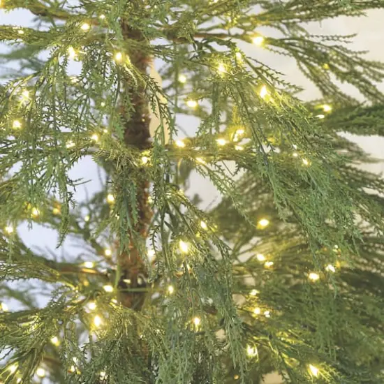 7ft. Pre-Lit Alpine Artificial Christmas Tree, Warm White LED Lights by Ashland&reg; {3}