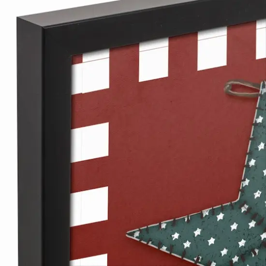 Primitive Star Black Framed Canvas {4}