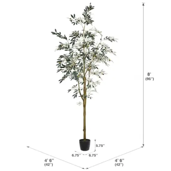8ft. Potted Olive Tree {5}