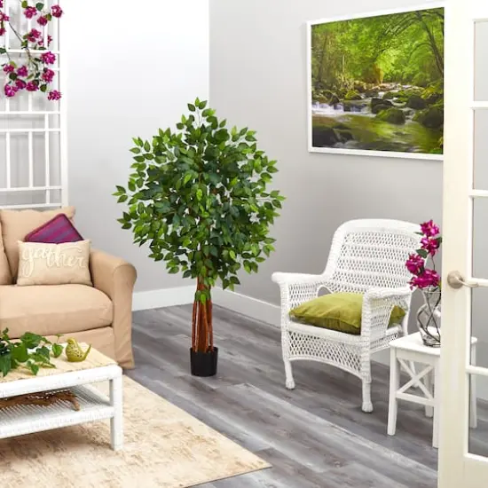 4.5ft. Potted Super Deluxe Ficus Tree {4}