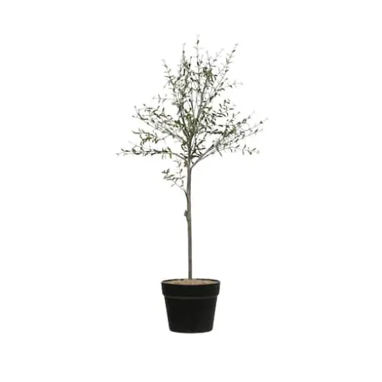 Hello Honey&reg; 29" Potted Thyme Topiary Tree {1}