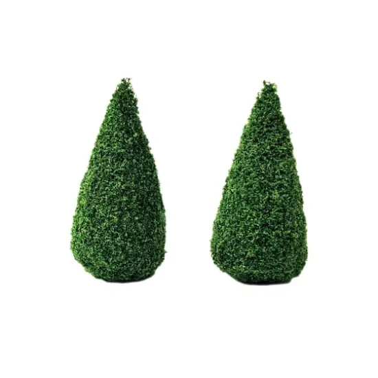 Miniature Boxwood Shrubs, 2ct. by Make Market&reg; {1}