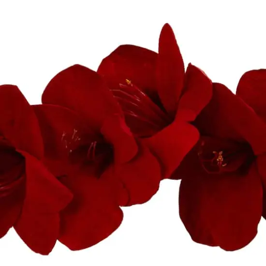 5ft. Red Amaryllis Garland {4}