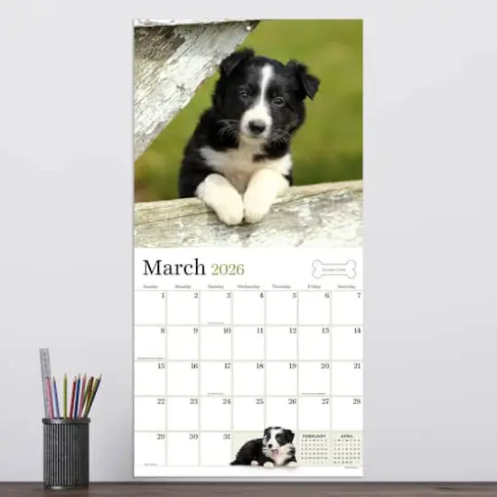 2026 Puppies Wall Calendar {4}