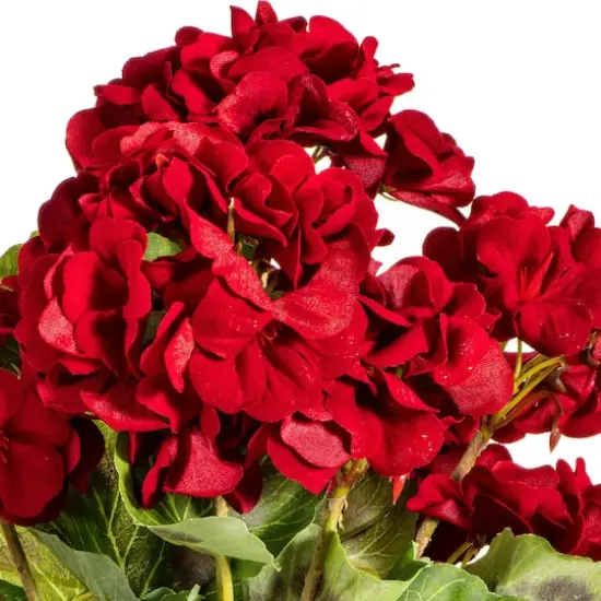 18" Artificial Red Geranium Bush, 4ct. {4}