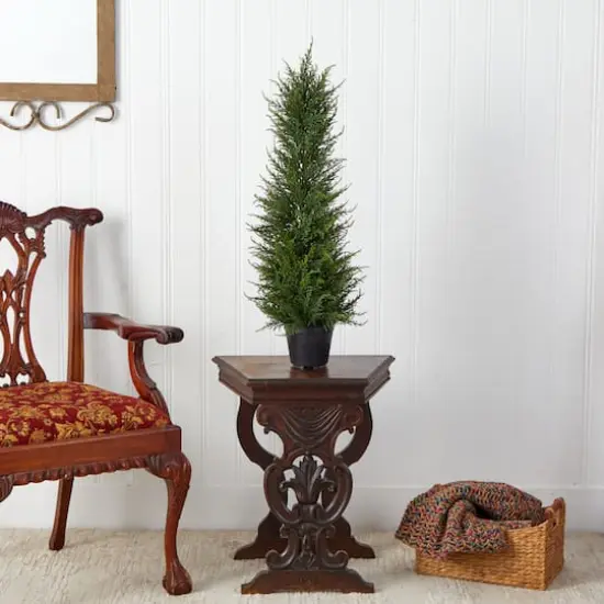2.5ft. Potted Cypress Tree {4}