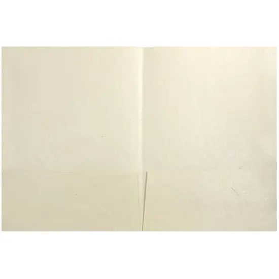 JAM Paper Handmade Metallic Folders Ivory {4}