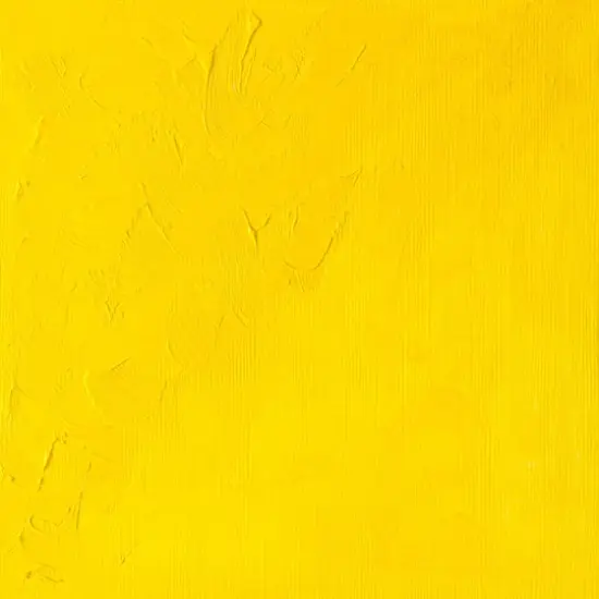 Winsor & Newton® 1.25oz. Winton Oil Colour™ Tube Cadmium Yellow Light {6}