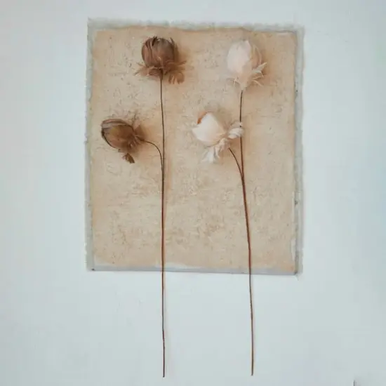 Hello Honey&reg; 28.25" Pink Organic Feather Flower Stem {3}