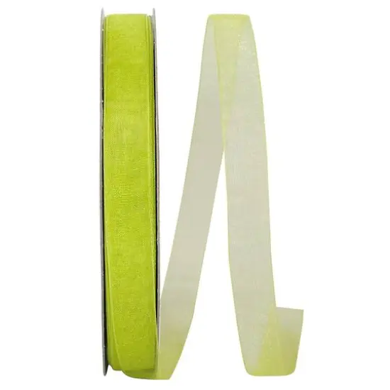 JAM Paper 5/8" x 100yd. Chiffon Mono Sheer Ribbon Kiwi {1}