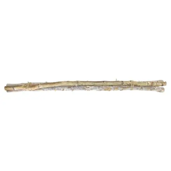Brown Birch Wood Branch Bundle, 3ct. {1}