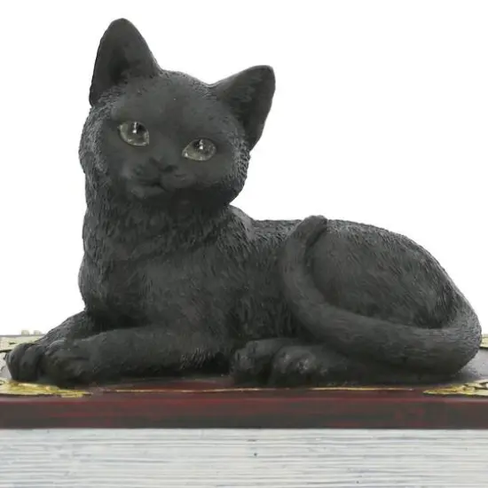 4.5" Black Cat with Books Tabletop D&eacute;cor by Ashland&reg; {7}