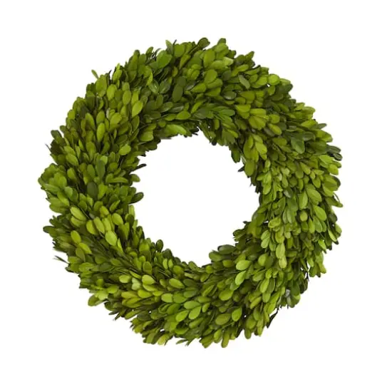 14'' Green Preserved Boxwood Wreath {1}