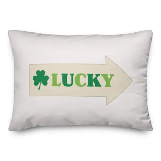 Lucky Arrow 14" x 20" Throw Pillow {1}