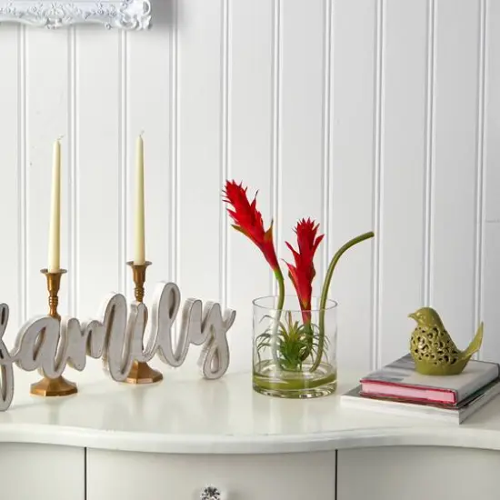 16" Red Star Bromeliad Arrangement in Glass Vase {4}