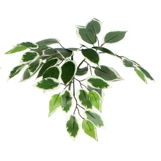 4ft. Artificial Variegated Ficus Bush with Square Willow Basket {4}