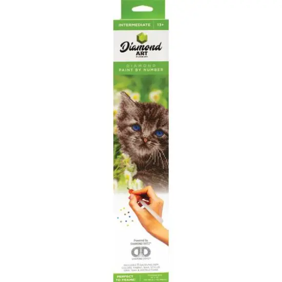 Diamond Art Intermediate Kitten Kit {3}