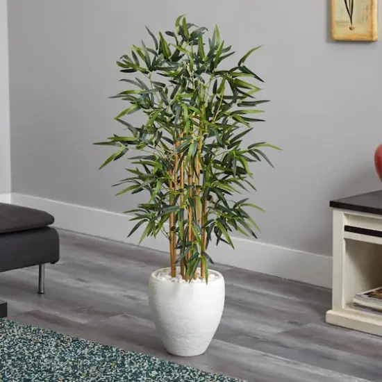 4ft. Bamboo Tree in White Oval Planter {5}