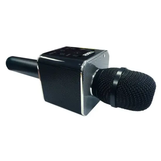 Naxa Electronics NKM-103 Handheld Karaoke Speaker {1}