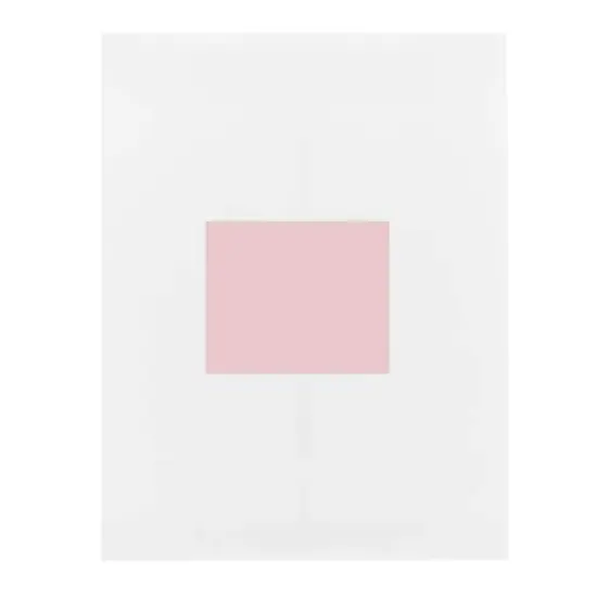 JAM Paper Adhesive Shipping Labels, 3.33" x 4" Baby Pink {7}