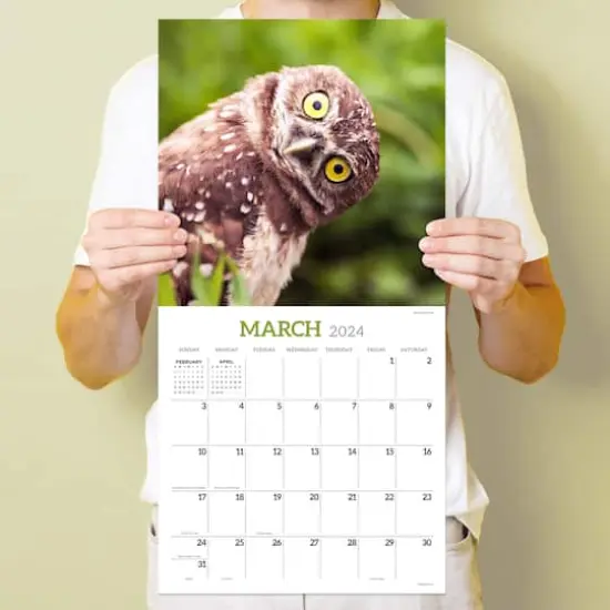TF Publishing 2024 Owls Wall Calendar {6}