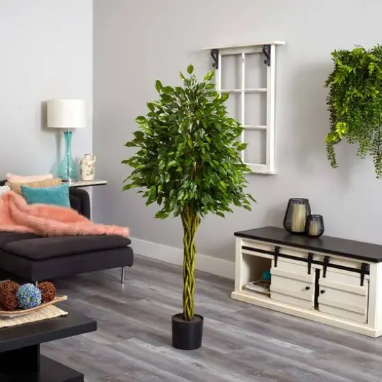 5ft. Potted Woven Trunk Ficus Tree {6}