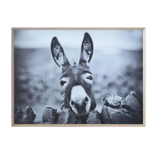 Hello Honey&reg; Black & White Donkey on Canvas Wood Framed Wall D&eacute;cor {1}