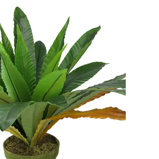 22" Potted Artificial Green & Brown Bird Nest Fern {4}