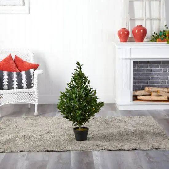 3ft. Potted Olive Cone Topiary Tree {6}