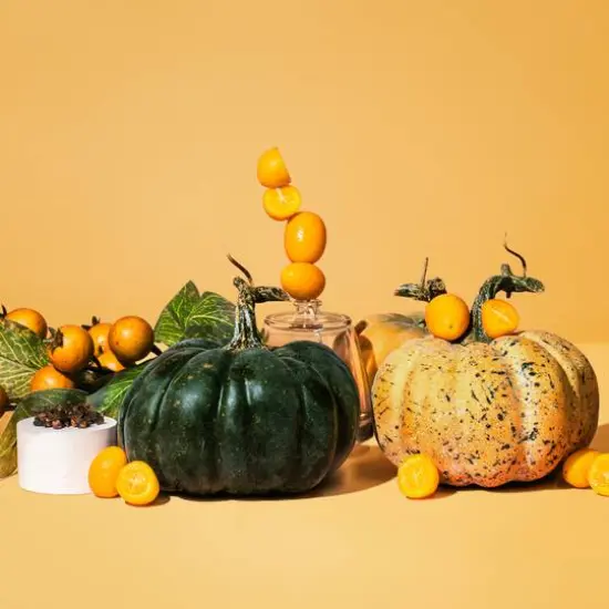 makesy Pumpkin + Persimmon Fragrance Oil {3}