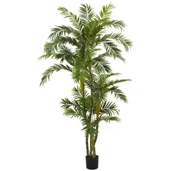 6ft. Potted Curvy Parlor Palm Tree {1}