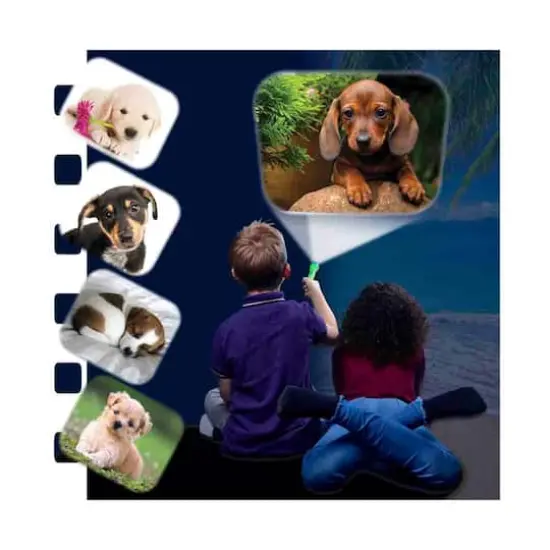 Brainstorm Toys Puppies Torch & Projector {5}