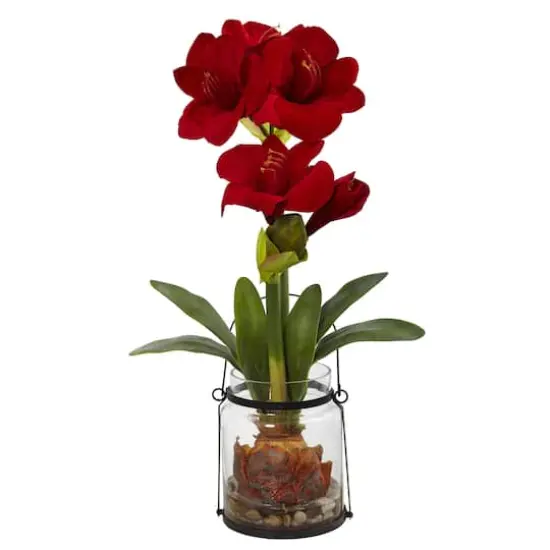 24" Red Amaryllis in Glass Vase {1}