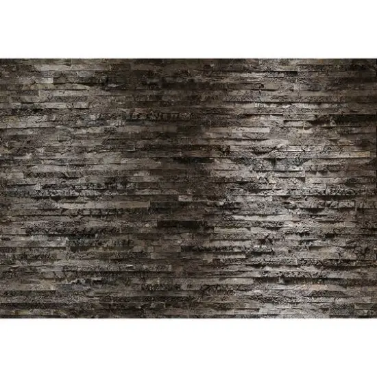 Komar Birkenrinde Wall Mural {1}