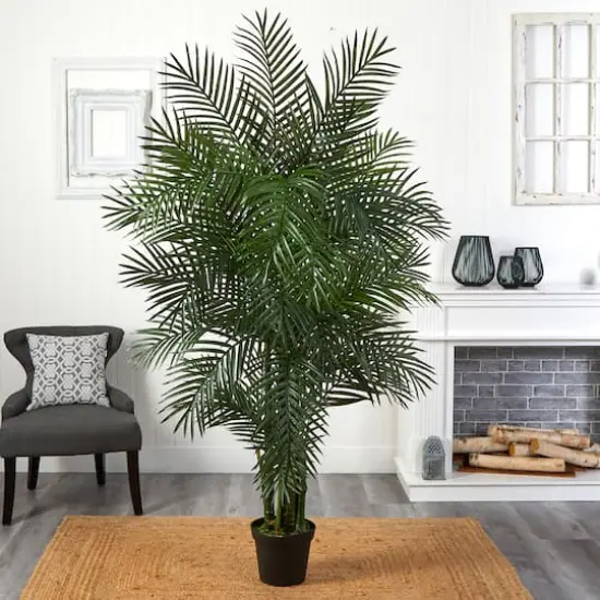6.5ft. Potted Areca Palm {5}