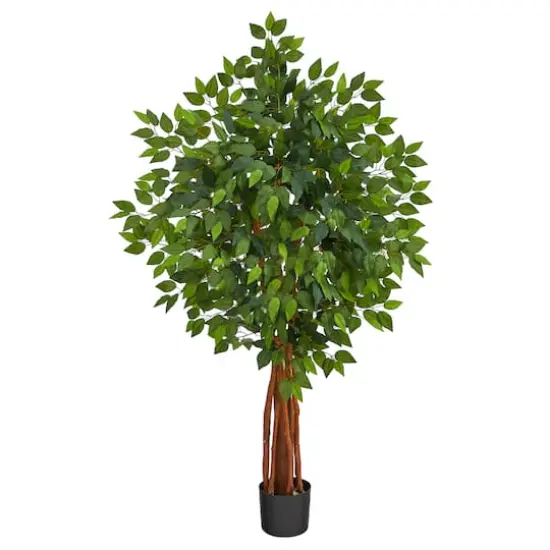 4.5ft. Potted Super Deluxe Ficus Tree {1}