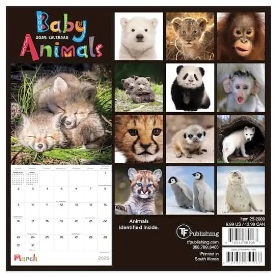 TF Publishing 2025 Baby Animals Mini Calendar {3}