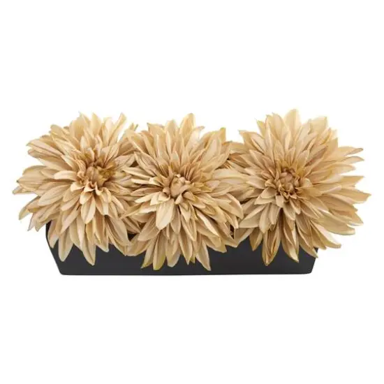 6" Cream Dahlia Arrangement in Black Planter {3}